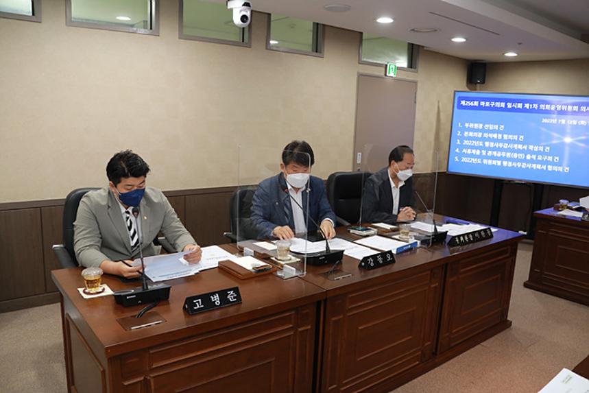 제256회 서울특별시 마포구의회 임시회 제1차 의회운영위원회 - 6