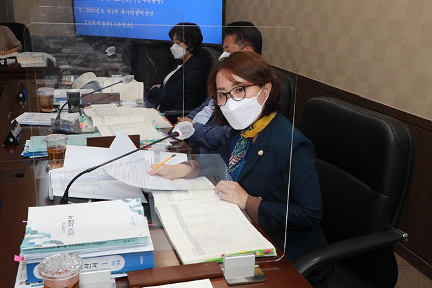 제258회 서울특별시 마포구의회 제1차정례회 제2~6차 예산결산특별위원회  - 2