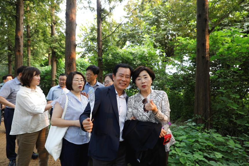 메타세콰이어 숲길 