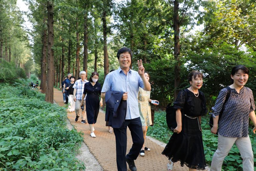 메타세콰이어 숲길 