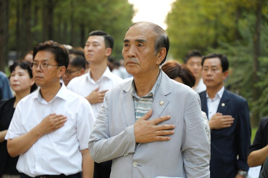 메타세콰이어 숲길 