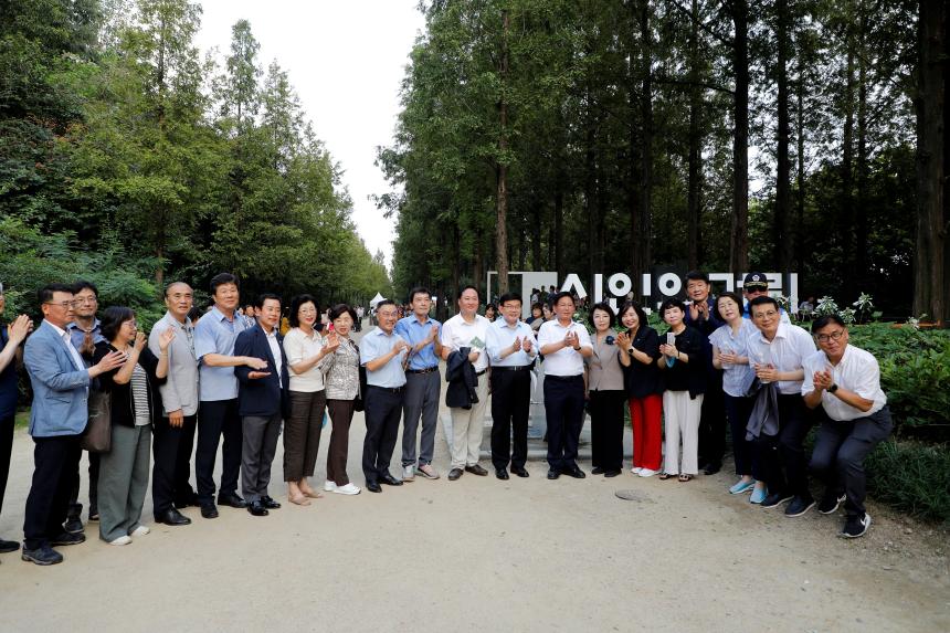 메타세콰이어 숲길 