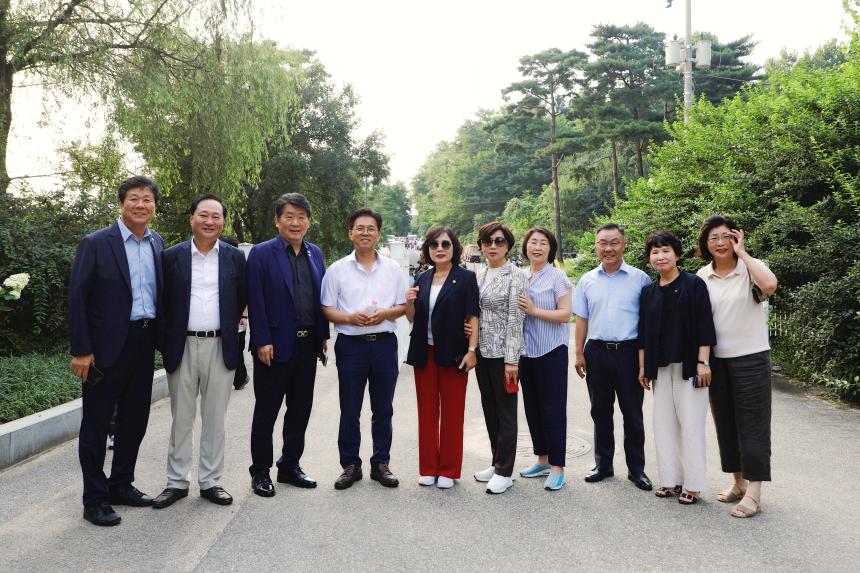 메타세콰이어 숲길 