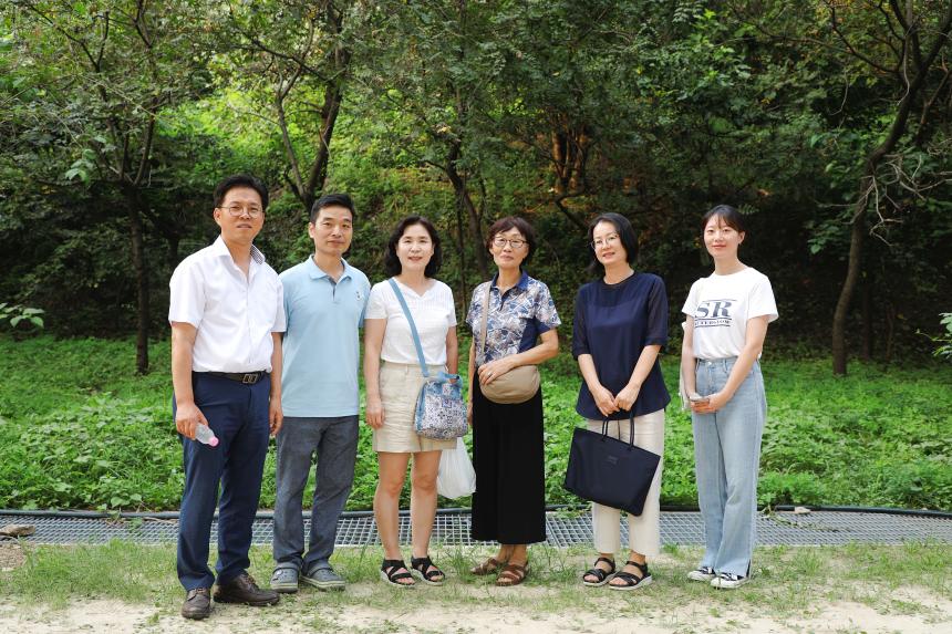 메타세콰이어 숲길 