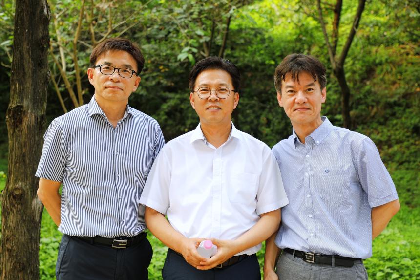 메타세콰이어 숲길 