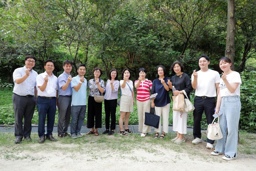 메타세콰이어 숲길 