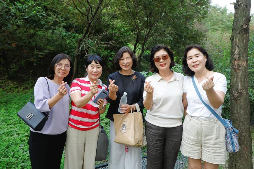 메타세콰이어 숲길 