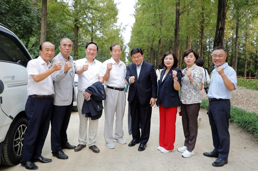 메타세콰이어 숲길 