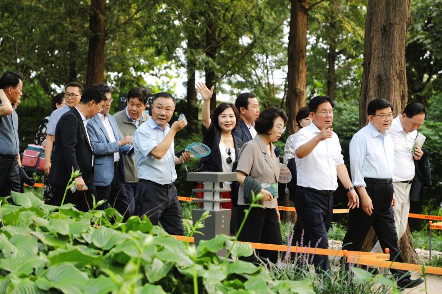 메타세콰이어 숲길 