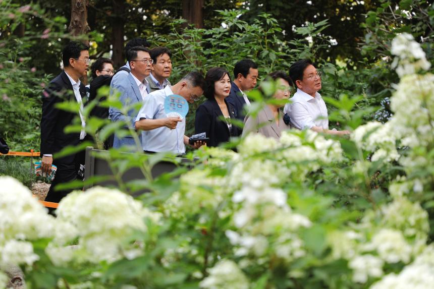 메타세콰이어 숲길 