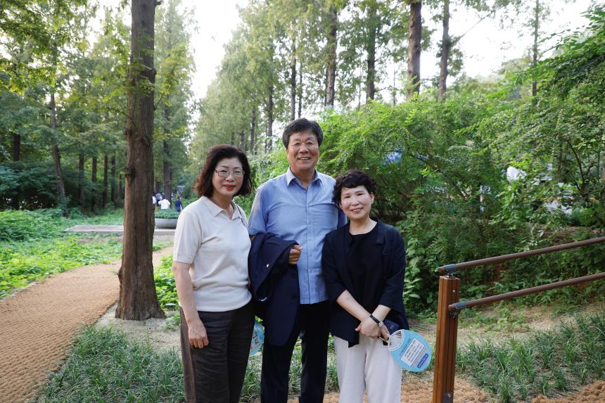 메타세콰이어 숲길 