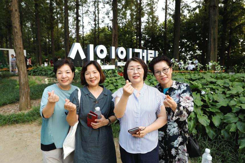 메타세콰이어 숲길 