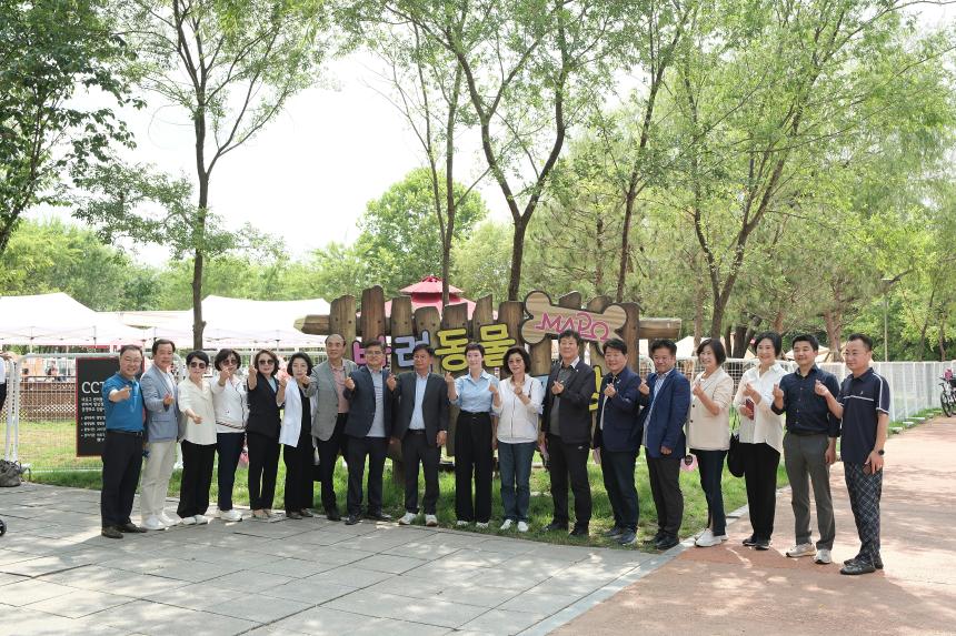 마포 반려동물 캠핑장 개장식 - 6