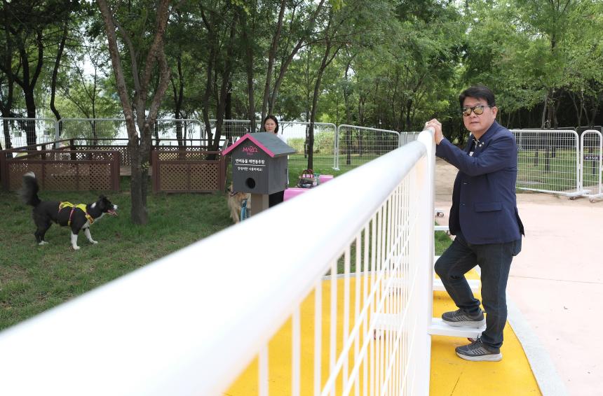 마포 반려동물 캠핑장 개장식 - 9