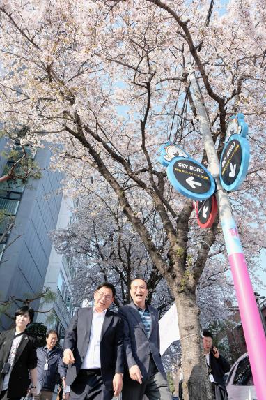 마포구 벚꽃 페스티벌 - 6