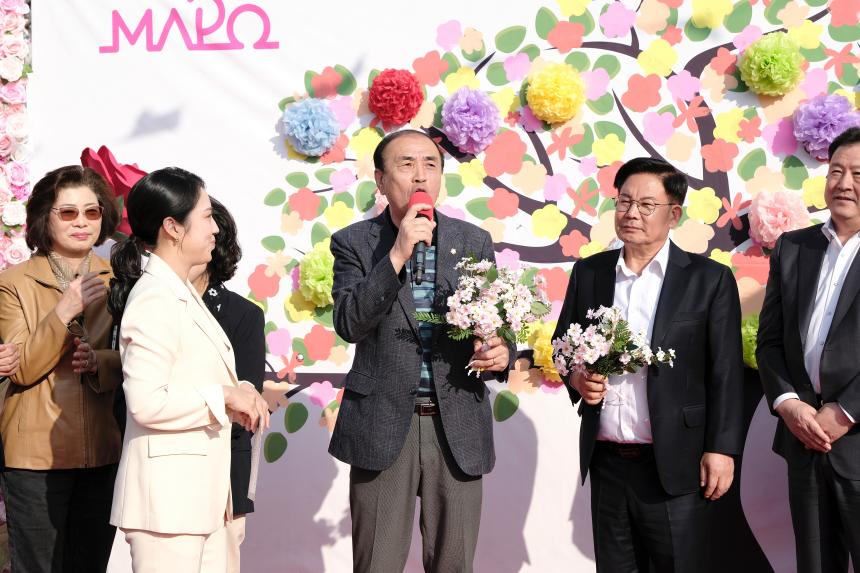 마포구 벚꽃 페스티벌 - 10