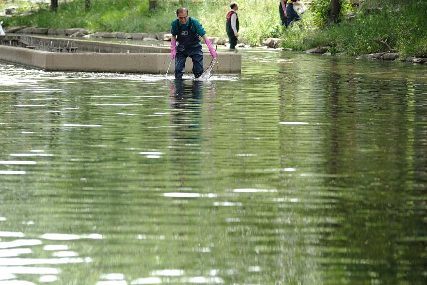 마포 하천환경 지킴이 발대식 - 26