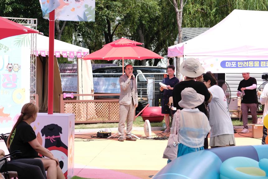 마포반려동물캠핑장 댕댕이 물놀이장 개장식 - 3