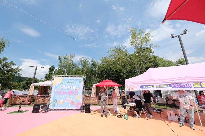 마포반려동물캠핑장 댕댕이 물놀이장 개장식 - 5