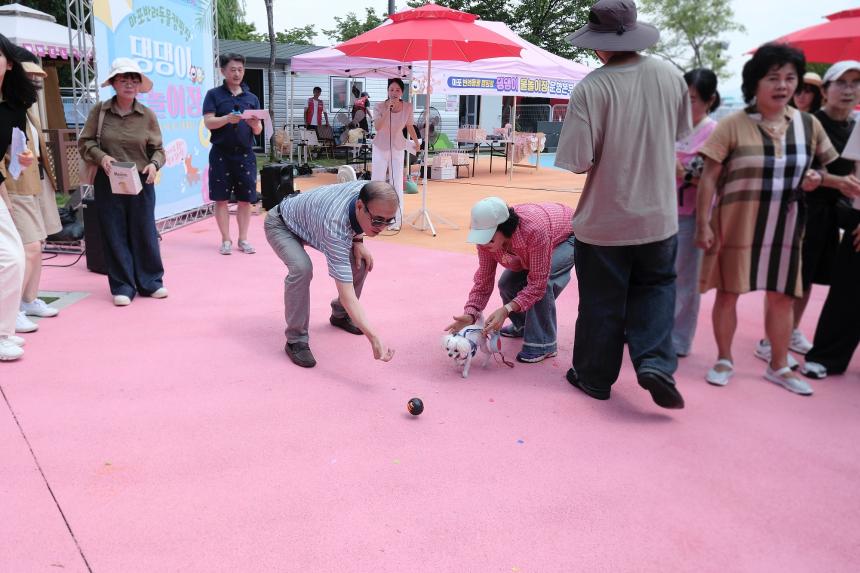 마포반려동물캠핑장 댕댕이 물놀이장 개장식 - 6