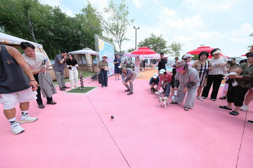 마포반려동물캠핑장 댕댕이 물놀이장 개장식 - 7