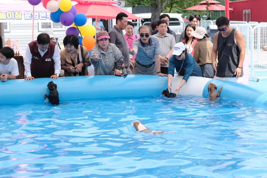 마포반려동물캠핑장 댕댕이 물놀이장 개장식 - 10
