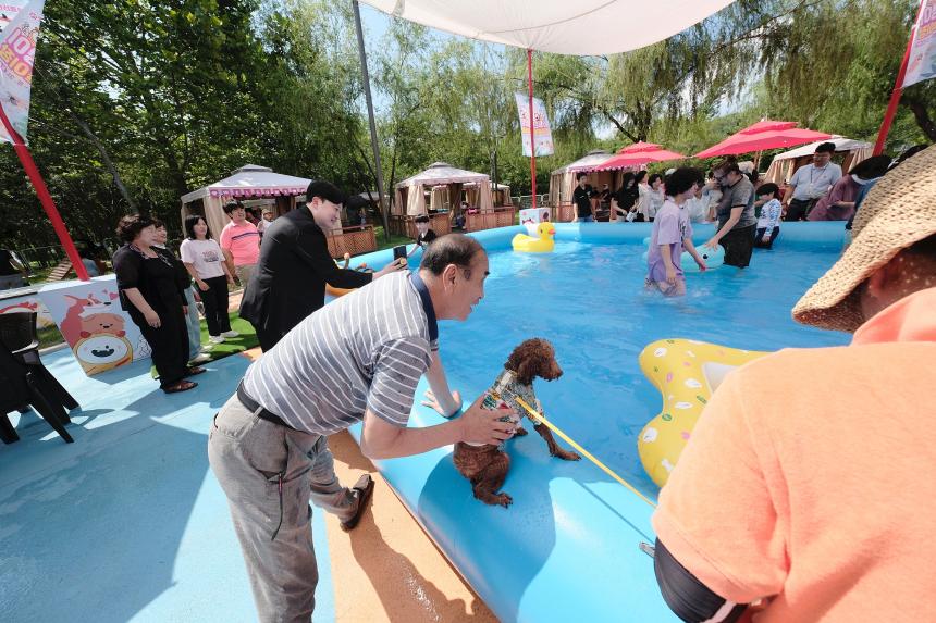 마포반려동물캠핑장 댕댕이 물놀이장 개장식 - 13