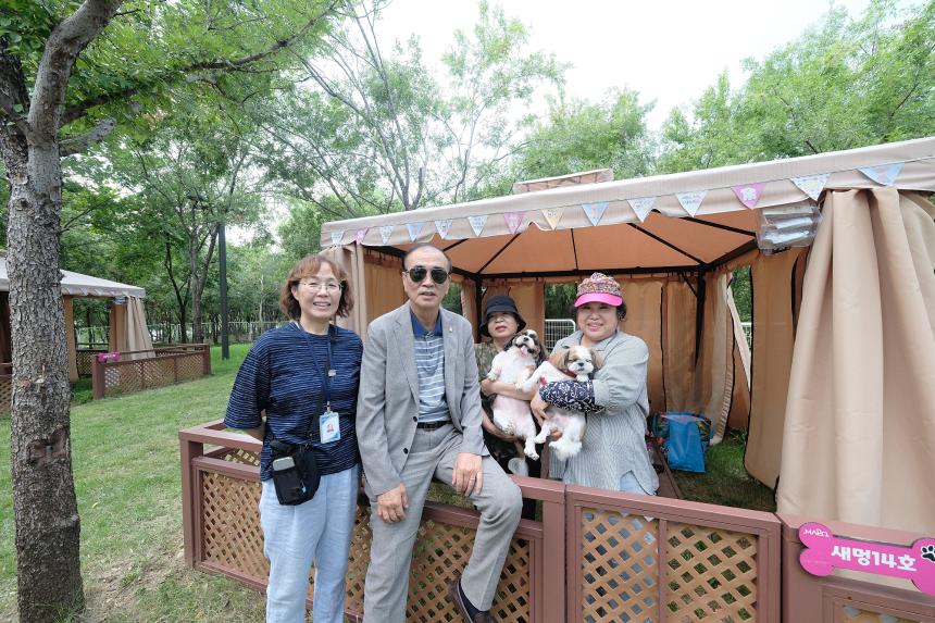 마포반려동물캠핑장 댕댕이 물놀이장 개장식 - 15