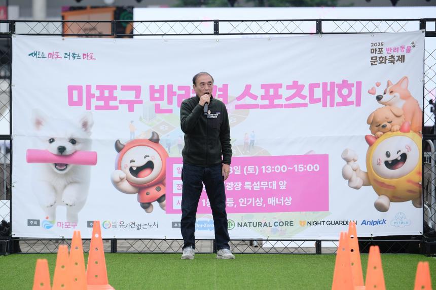 새우젓축제-마포구 반려견 스포츠대회 - 1