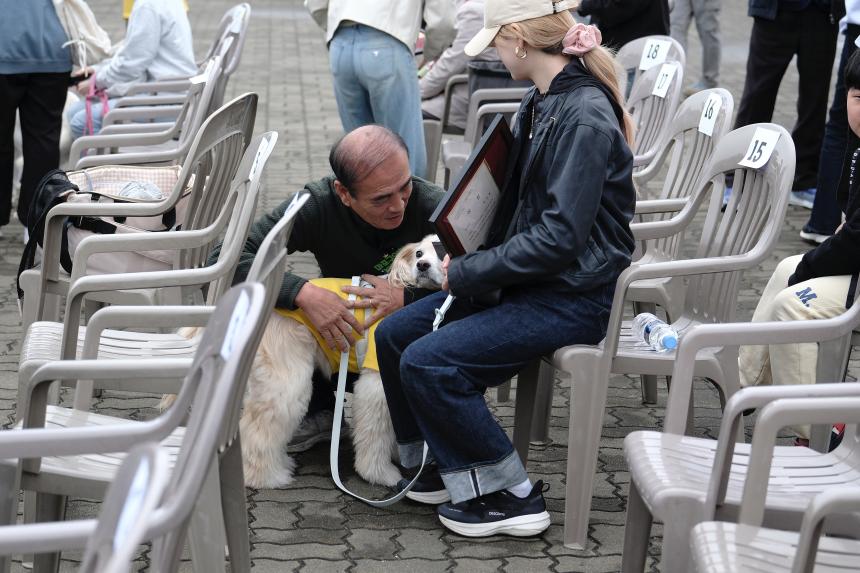 새우젓축제-마포구 반려견 스포츠대회 - 4