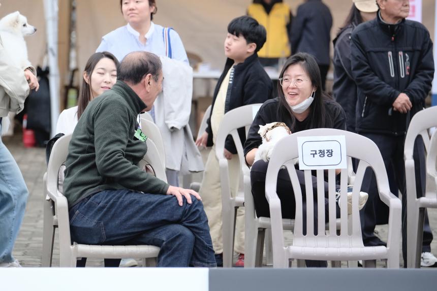 새우젓축제-마포구 반려견 스포츠대회