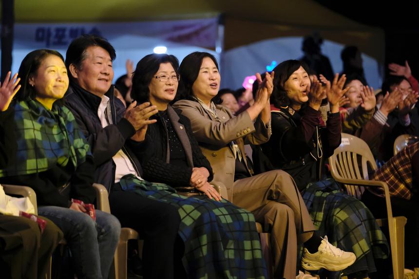 새우젓축제 폐막공연 - 2
