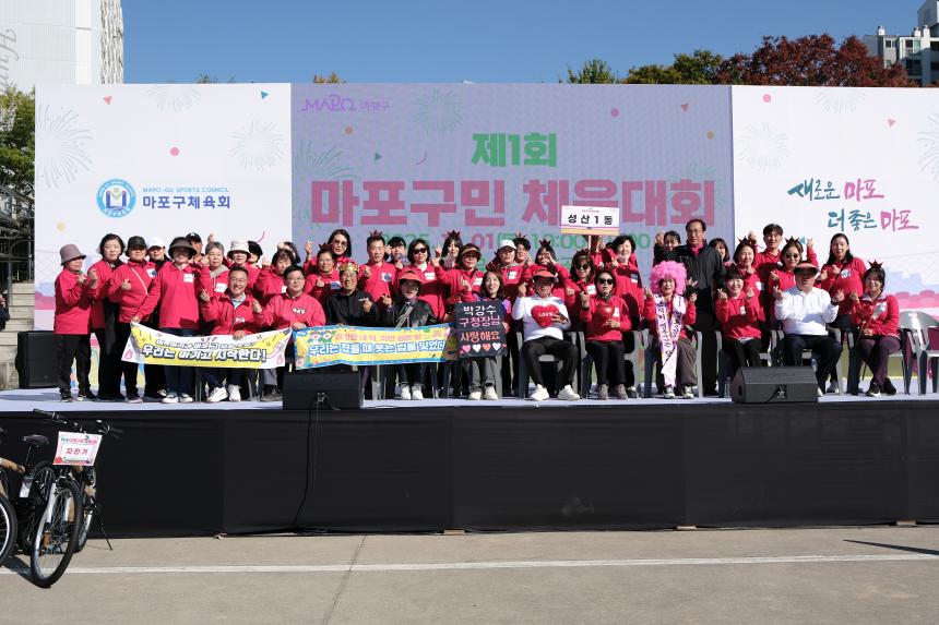 제1회 마포구민체육대회
