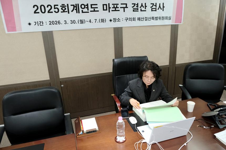 2025회계연도 마포구 결산 검사 - 12