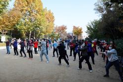 성산1동 단풍숲길 걷기대회 20