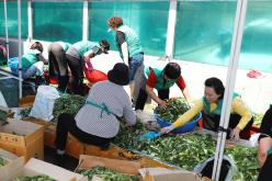 계절밥상 건강해지는 미식회 30