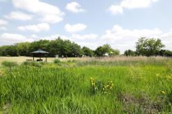 제1회 마포구청장배 파크골프대회 4