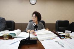 예산결산특별위원회 - 제262회 제1차 정례회 19