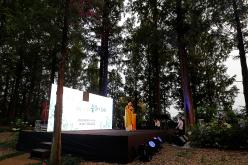 메타세콰이어 숲길 '시인의 거리' 준공식 25