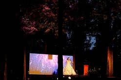 메타세콰이어 숲길 '시인의 거리' 준공식 29