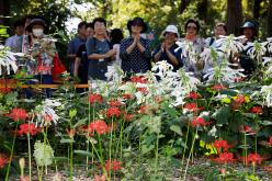 2023 상사화 축제 난지별곡 12