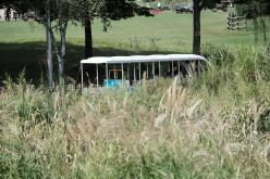 제7회 마포구협회장배 파크골프대회 40