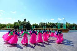 제16회 마포나루 새우젓축제 개장식 37