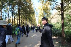 마포구민걷기대회 - 제16회 새우젓축제 20