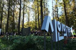 마포구민걷기대회 - 제16회 새우젓축제 22