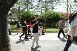 제15회 마포거북이마라톤 17