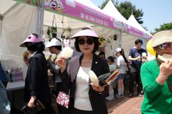 제14회 마포구 어린이 축제 - 빨노파, 꿈을 피워라 31