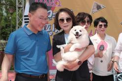 마포 반려동물 캠핑장 개장식 11