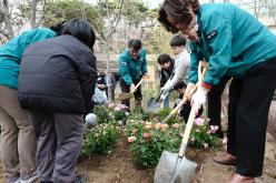 제80회 식목일 기념 나무심기 행사 34