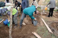 제80회 식목일 기념 나무심기 행사 53